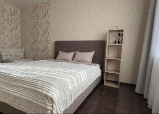 Сдается 1-ком. квартира, 40 м2, Амурская область, Октябрьская улица, 197