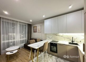 Сдается в аренду 2-ком. квартира, 45 м2, Москва, Газгольдерная улица, 10Ас17, Нижегородский район