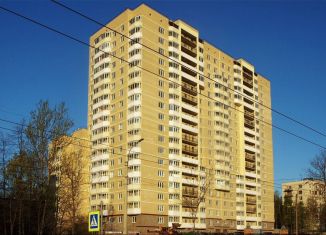 Продажа квартиры студии, 31 м2, Санкт-Петербург, метро Академическая, Северный проспект, 75к1