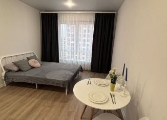 Квартира в аренду студия, 22 м2, Москва, Амурская улица, 2к2, ВАО