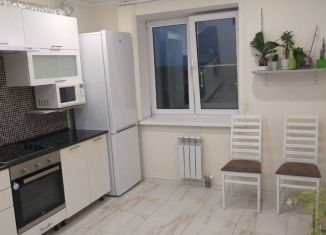 Аренда 1-комнатной квартиры, 45 м2, Уфа, улица Шмидта, 162, Ленинский район