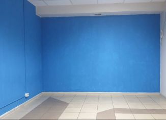 Сдаю помещение свободного назначения, 13 м2, Петрозаводск, проспект Ленина, 38А, район Центр