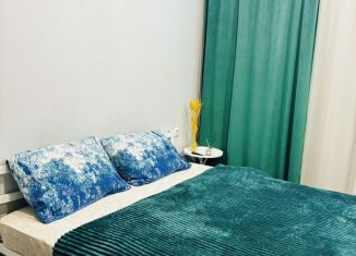 Квартира в аренду студия, 30 м2, Татарстан, улица Аделя Кутуя, 110