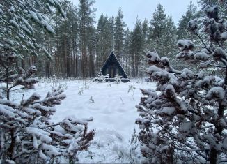 Дом в аренду, 36 м2, поселок Заходское, Жемчужная улица