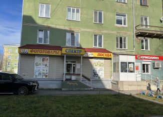 Продаю торговую площадь, 80 м2, Североуральск, улица Мира, 9