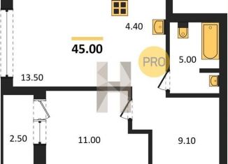 Продаю 1-комнатную квартиру, 45 м2, Новосибирск, Центральный район