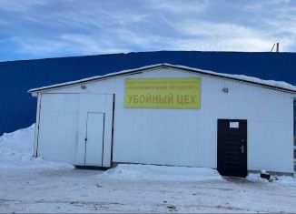 Помещение свободного назначения на продажу, 300 м2, Сибай, улица Сельхозтехника, 18/1