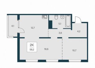 2-ком. квартира на продажу, 59.2 м2, Новосибирск, Игарская улица, 6