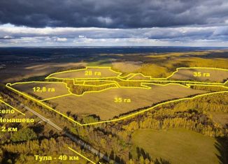 Продам земельный участок, 11098 сот., Тульская область, Гаражный переулок