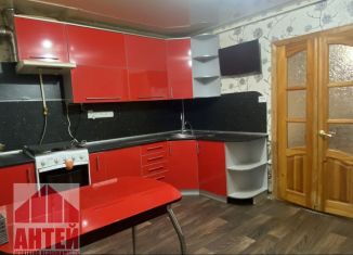 Продам 2-ком. квартиру, 49 м2, Нижегородская область, переулок Рассвет, 3