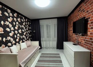 Сдается 1-ком. квартира, 38 м2, Санкт-Петербург, Парашютная улица, 61к1