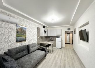 Продам 2-ком. квартиру, 45 м2, Краснодар, Парусная улица, 10к3, Карасунский округ