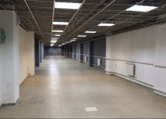 Сдаю помещение свободного назначения, 401 м2, посёлок городского типа Томилино, улица Гаршина, 11с3
