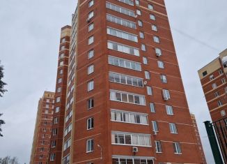 Аренда 2-комнатной квартиры, 52.8 м2, Пермь, Хабаровская улица, 62, ЖК Боровики