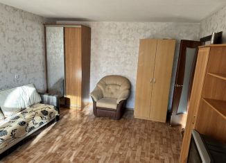 Сдача в аренду 2-комнатной квартиры, 46 м2, Екатеринбург, улица Мира, 31