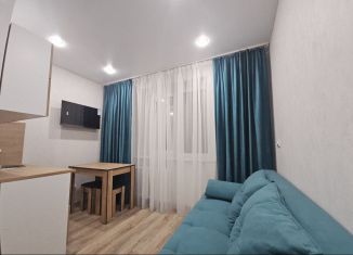 Продается квартира студия, 20 м2, Чебоксары, улица Тимофея Кривова, 19к1