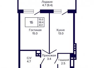 Продаю 1-комнатную квартиру, 43.1 м2, Новосибирск, улица Ляпидевского, 5