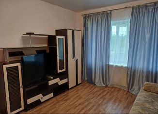 Сдам 1-ком. квартиру, 40 м2, Волгоград, Чернышковская улица, 5