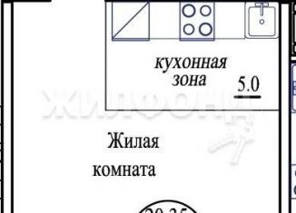 Продаю квартиру студию, 33 м2, Новосибирская область, улица Виктора Шевелёва, 18