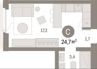 Продаю квартиру студию, 24.7 м2, Липецкая область, площадь Петра Великого, 1