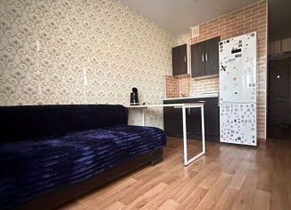 Сдается квартира студия, 23 м2, Новосибирск, улица Виктора Уса, 7