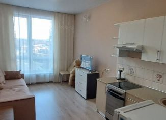 Сдам квартиру студию, 26 м2, Кемерово, улица Дружбы, 30/8, ЖК Южный