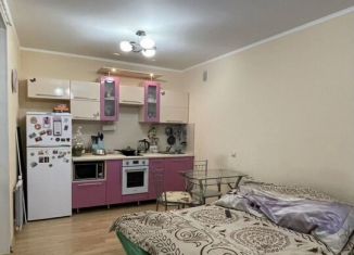 Продается квартира студия, 28.1 м2, Екатеринбург, улица Индустрии, 66, Орджоникидзевский район