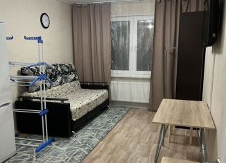 Сдам квартиру студию, 20 м2, Санкт-Петербург, Муринская дорога, 27к2, метро Девяткино