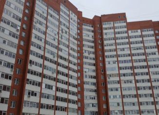 Сдается в аренду двухкомнатная квартира, 70 м2, Пермь, Холмогорская улица, 4В, ЖК Авиатор