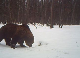 Продаю земельный участок, 2200000 сот., Красноуральск