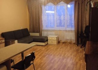 Квартира в аренду студия, 34 м2, Новосибирск, улица Татьяны Снежиной, 41