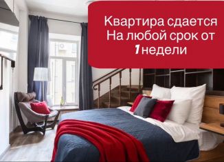 Аренда однокомнатной квартиры, 40 м2, Санкт-Петербург, улица Маяковского, 4, метро Площадь Восстания