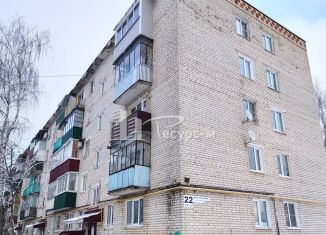 1-комнатная квартира на продажу, 30 м2, Выкса, микрорайон Гоголя, 22