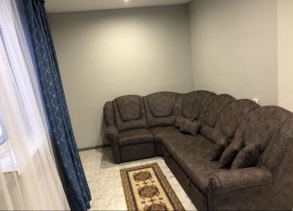 Дом в аренду, 70 м2, деревня Зелёная Поляна, улица Шахтёров, 12