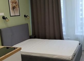 Сдаю в аренду квартиру студию, 20 м2, Тюмень, улица Новосёлов