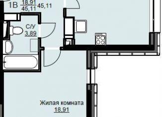 Однокомнатная квартира на продажу, 45.1 м2, Щёлково, жилой комплекс Соболевка, к8