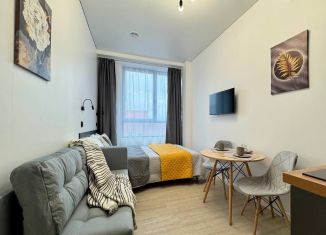 Сдаю квартиру студию, 20 м2, Москва, проезд Серебрякова, 11к1