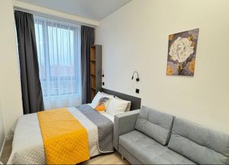 Сдам квартиру студию, 20 м2, Москва, проезд Серебрякова, 11к1