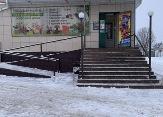 Продам помещение свободного назначения, 280 м2, Алатырь