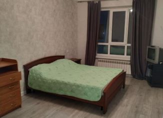 Сдам 1-ком. квартиру, 45 м2, Ставрополь, улица Генерала Маргелова, 9/2