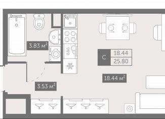 Продам квартиру студию, 25.8 м2, Санкт-Петербург, Невский район