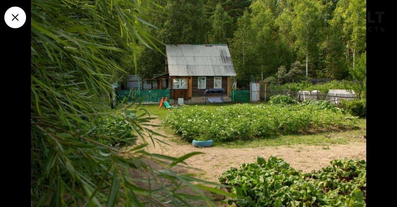 Купить Дачу В Чите Район Смоленского Кольца