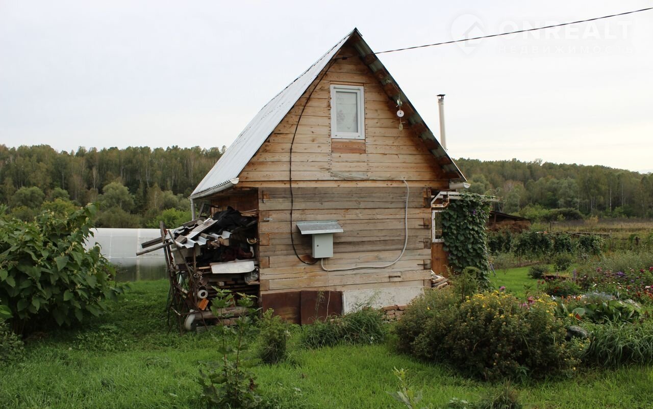 Алтайский Край Село Боровиха Купить Дом